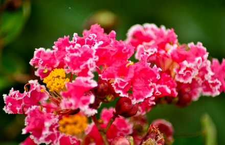 上海辰山植物园