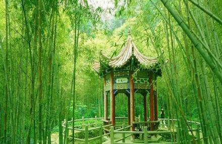 南阳荆紫关法海寺