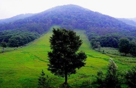 齐齐哈尔青松山狩猎场
