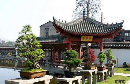 荆州江陵盆景园