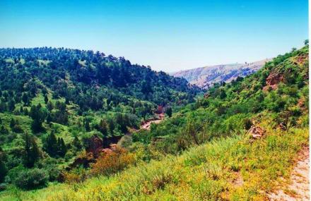 巴彦淖尔阿贵庙