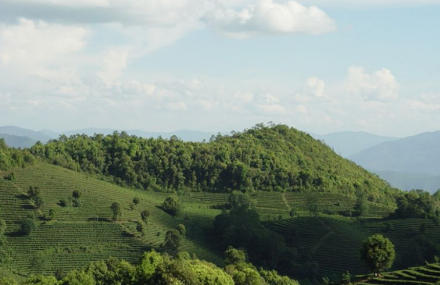 玉溪高香生态茶文化旅游区
