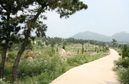 济宁泗水凤仙山