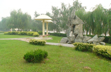 东营利津黄河生态公园