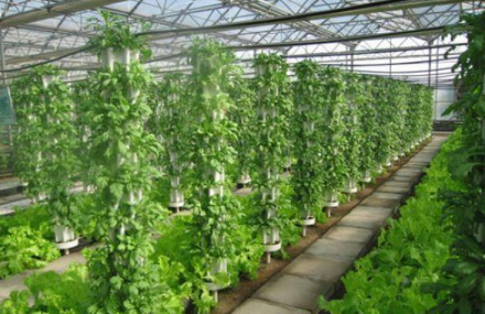 宁波浒山现代农业示范园