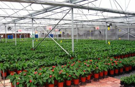 济南商河乡村绿洲