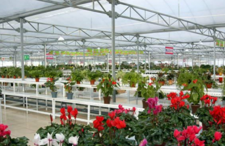 枣庄鲁南花卉大世界