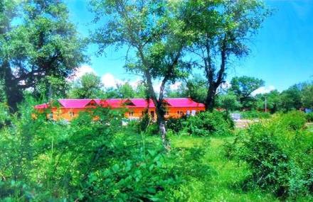 伊犁尼勒克次森林度假村