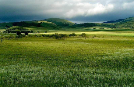 承德千松坝国家森林公园