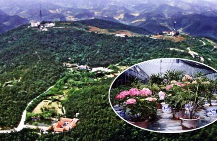 十堰四方山植物园