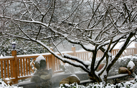 黄山飘雪温泉