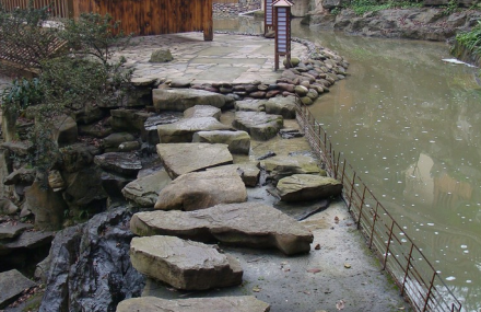 重庆南温泉公园