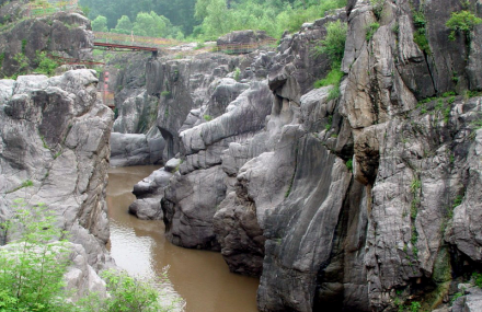 北京硅化木国家地质公园