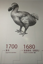 度度