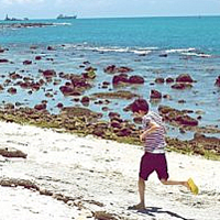 chen_mei_cun090153197