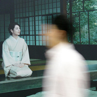 wendy.yangyun19382