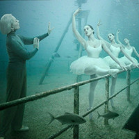 zhangliping870169280