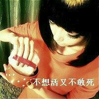 pingvera09267254