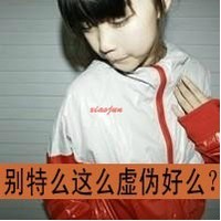 sycshy7682