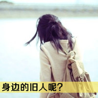 lihongfeione70450