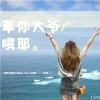 shangzhenwei200670146