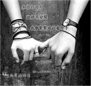 sujie071878230