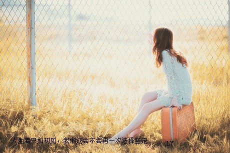 20082008wjy33531