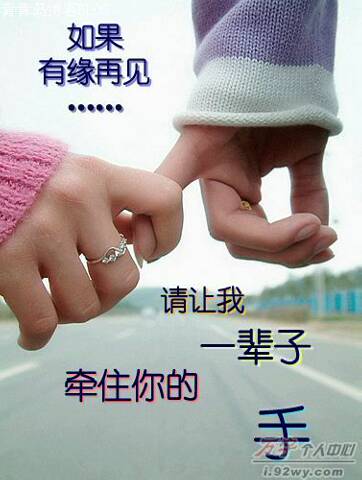 wangdi58583