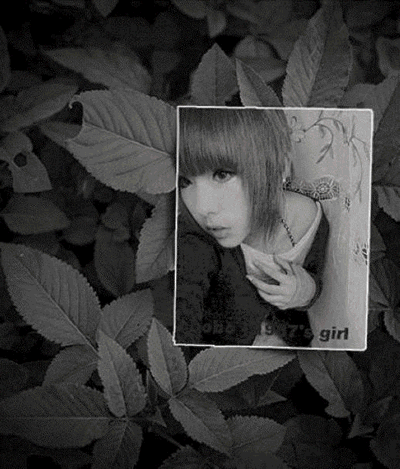 wangsl42421011