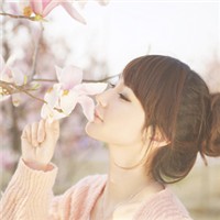 pjyahsj10250