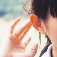 qiufengyeluo63677