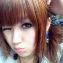 jinjl11313