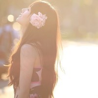 zll_neu_8112793