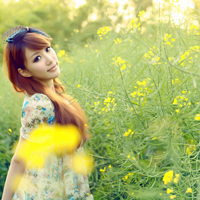 lisa.bg61245