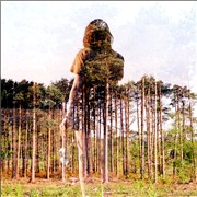 lifuzhong200740840242648