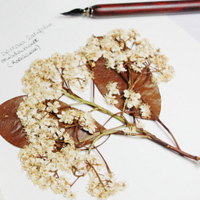 xucongxiang198751484