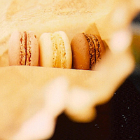 wangyudong_200951469