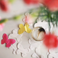 zhangshelei123451400