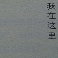 zql111176587