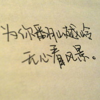 5109916251652