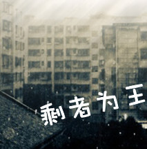 zjn50776767