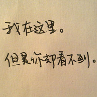 bingning43051854