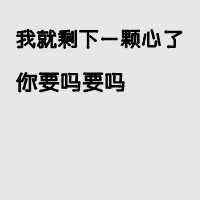 senge060164260