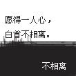 WANG41661678839532