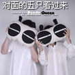 yinpinggz64448