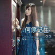 yang391339580